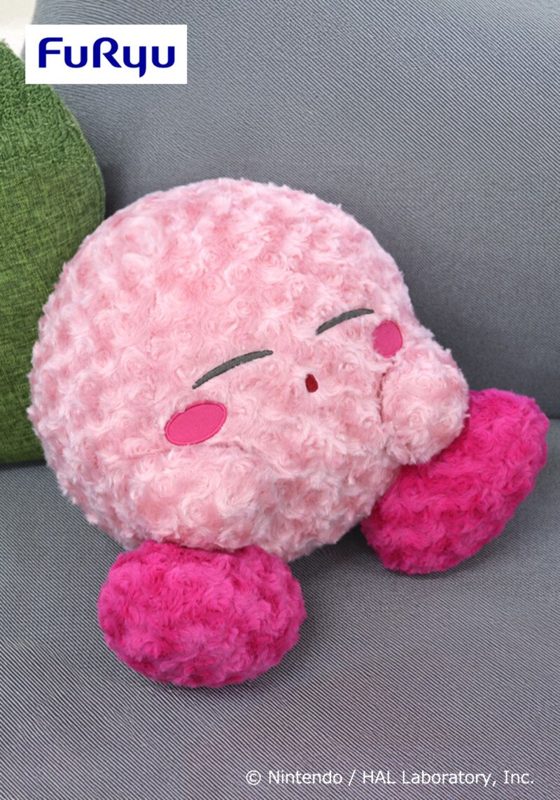 AMU-SHP2281-CI_01