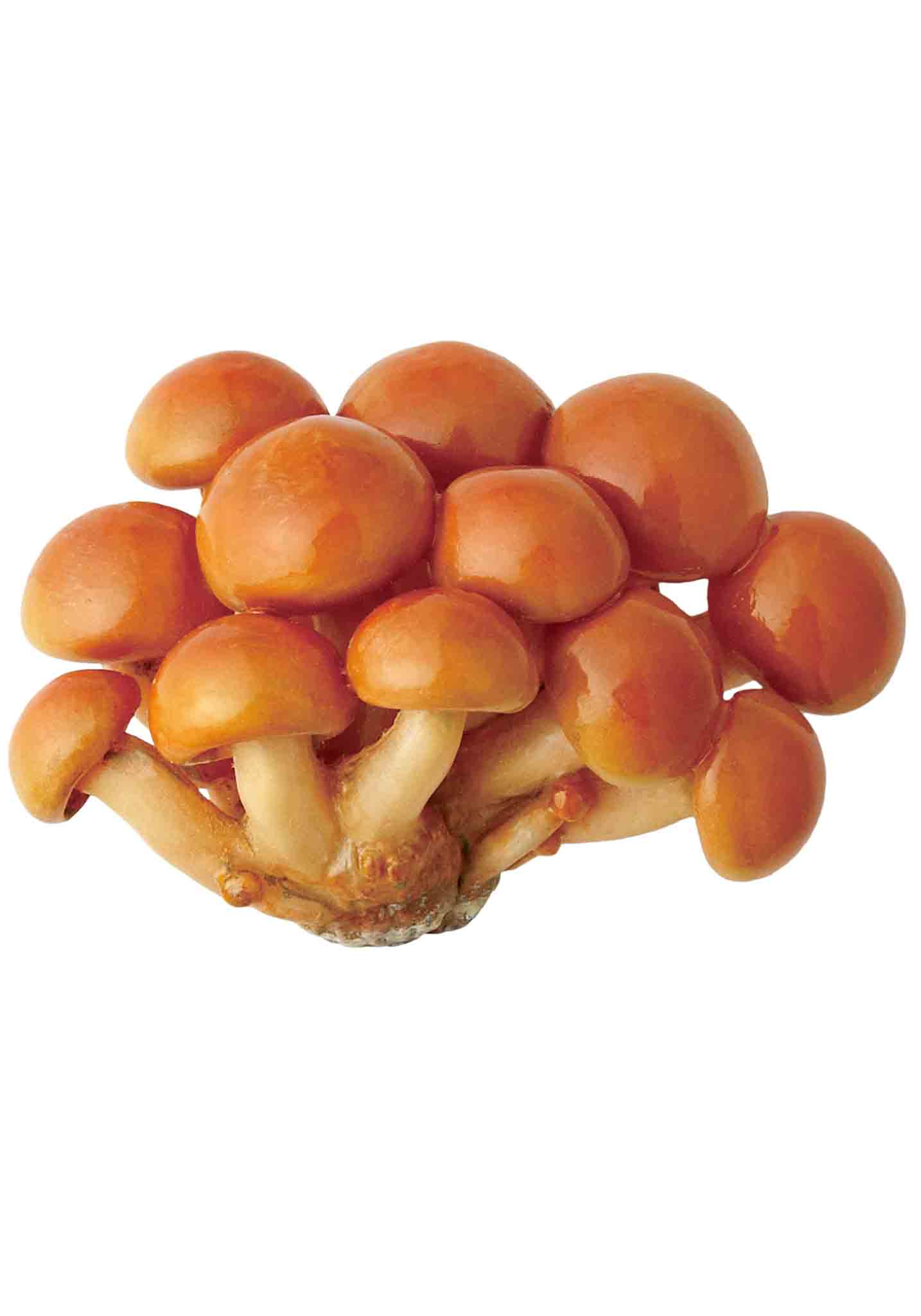 肌触りがいい Box Blind Charm Rubber Soft Mushroom (Top Clever - Picks) テープ・マスキングテープ