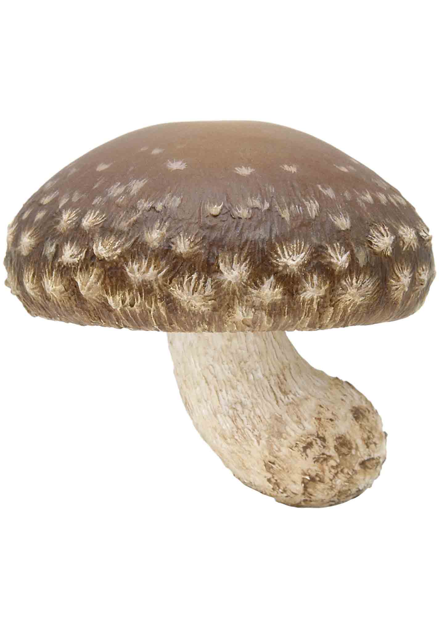 Mushroom Straw Topper  The BumbleBead Company