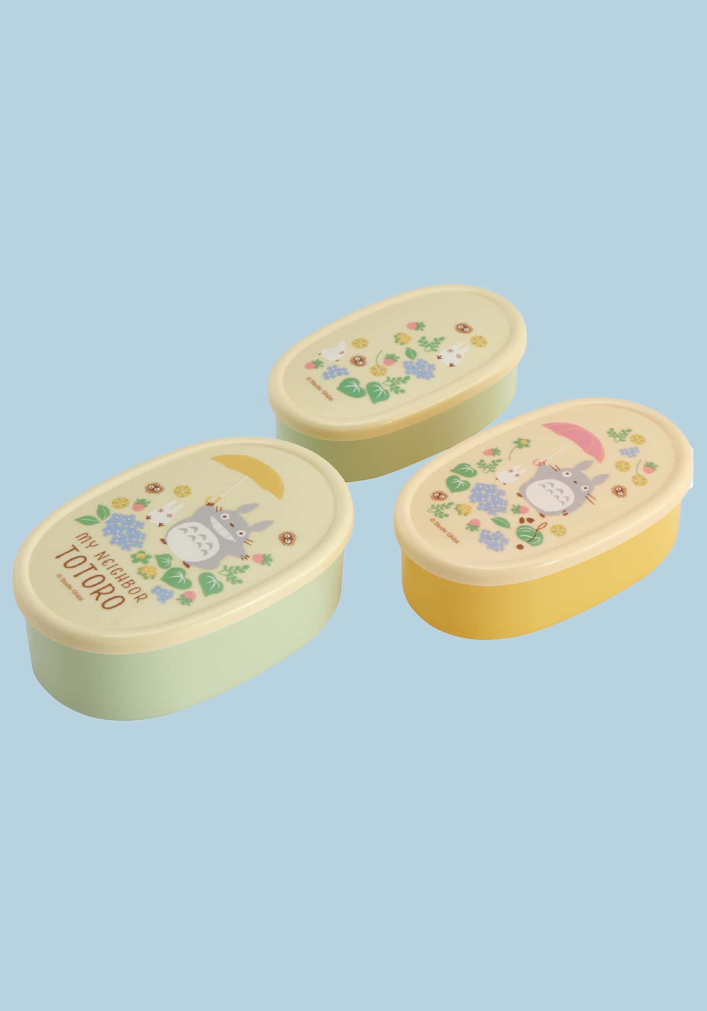 Disposable Bento Boxes With Lids Kids Party Lunchbox Totoro
